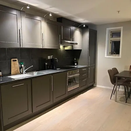 Modern In A Quiet Area Apartment Bergen
